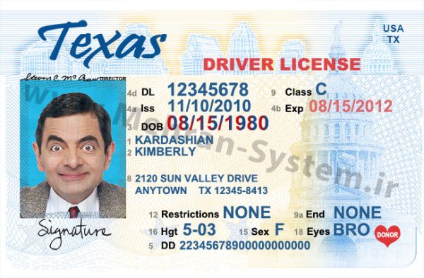 texas driver license