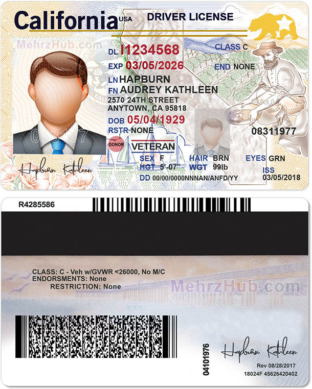 Download California Driver License Template PSD - MehrzHub