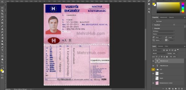 Hungary Driving License template