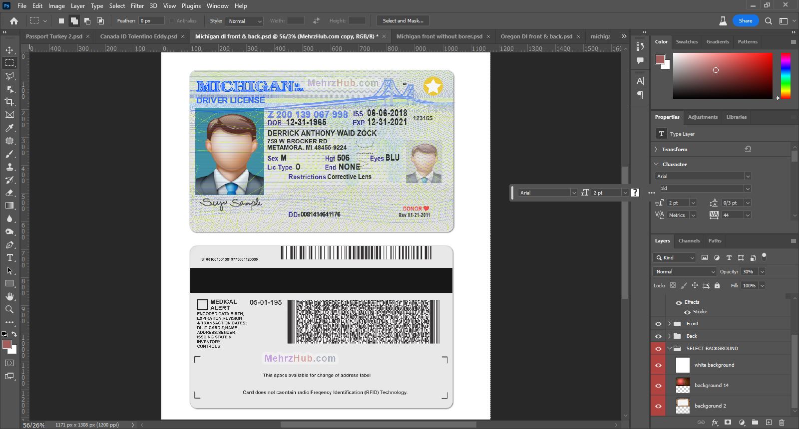 michigan driver license