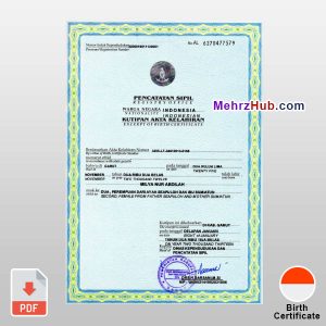Indonesia Birth Certificate PSD