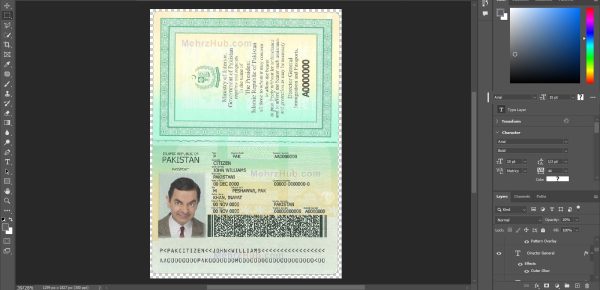 pakistan passport template