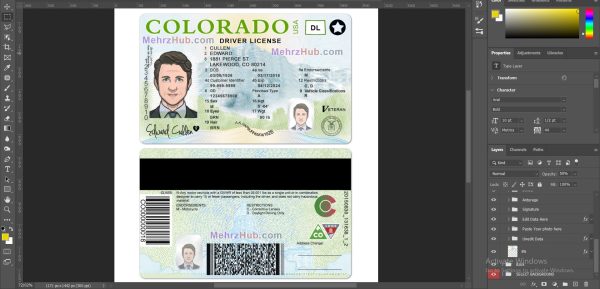 colorado driver license