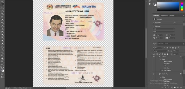 Malaysia Driver’s License