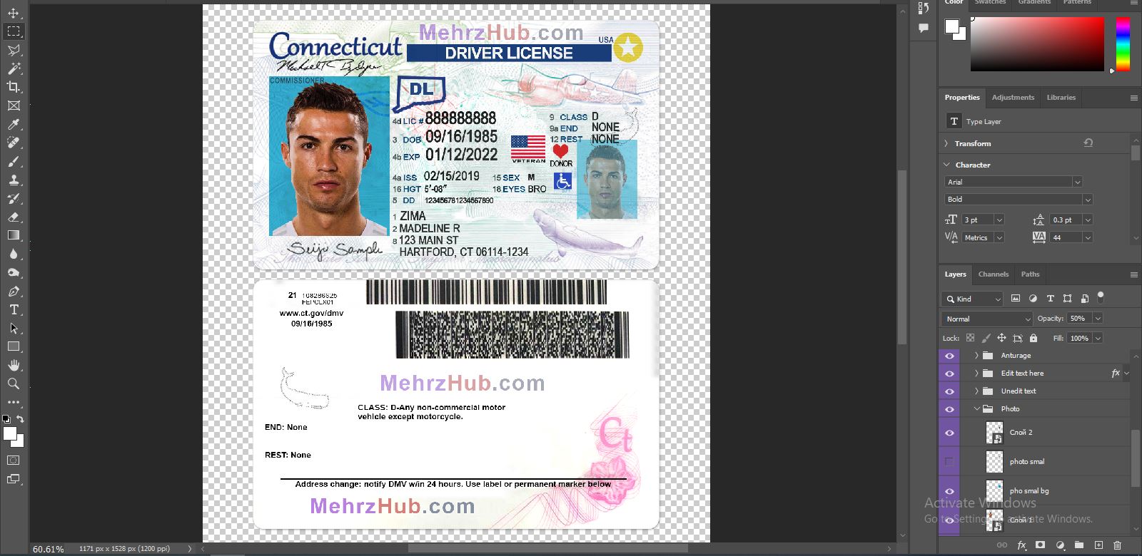 Connecticut Driver’s License