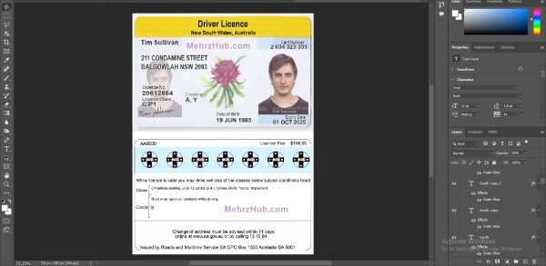 Australia New South Wales Driving License