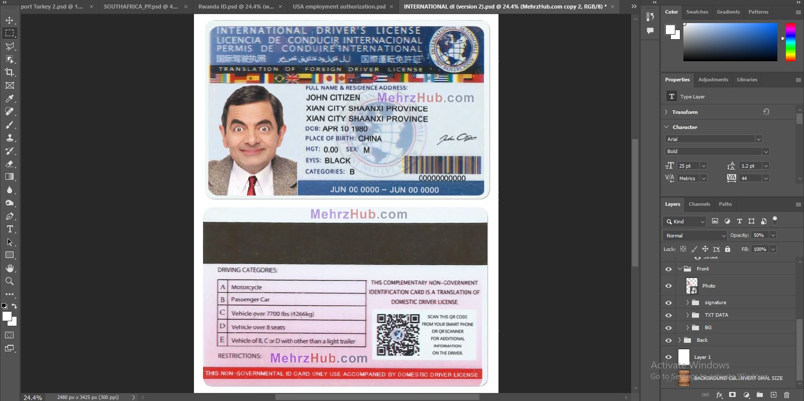 International Driving License