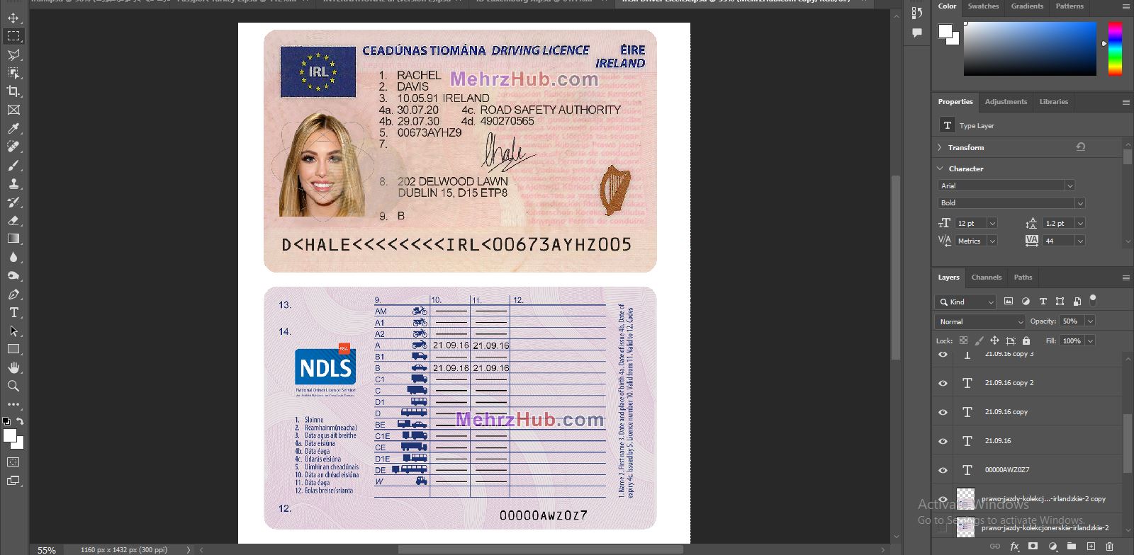 Ireland Driving License