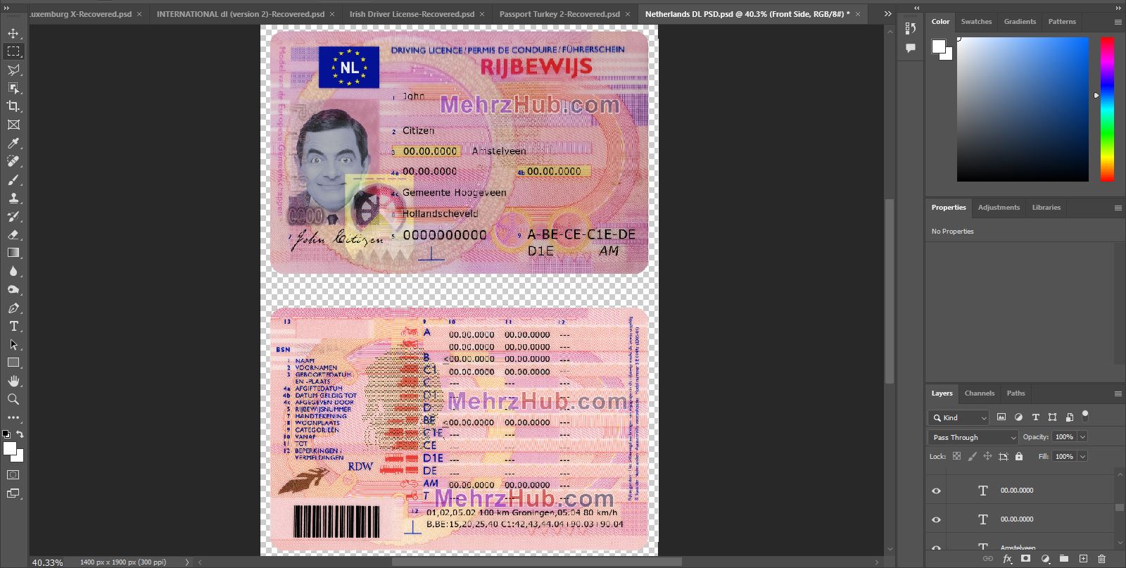 Netherlands Driving License