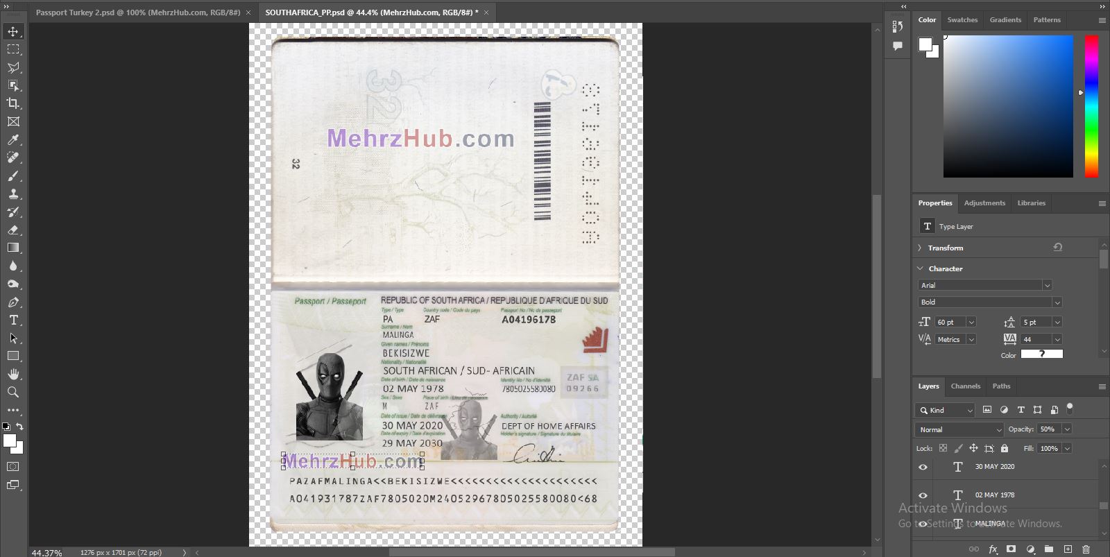 South Africa Passport
