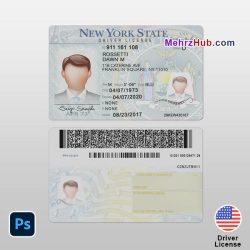 new york driver license template